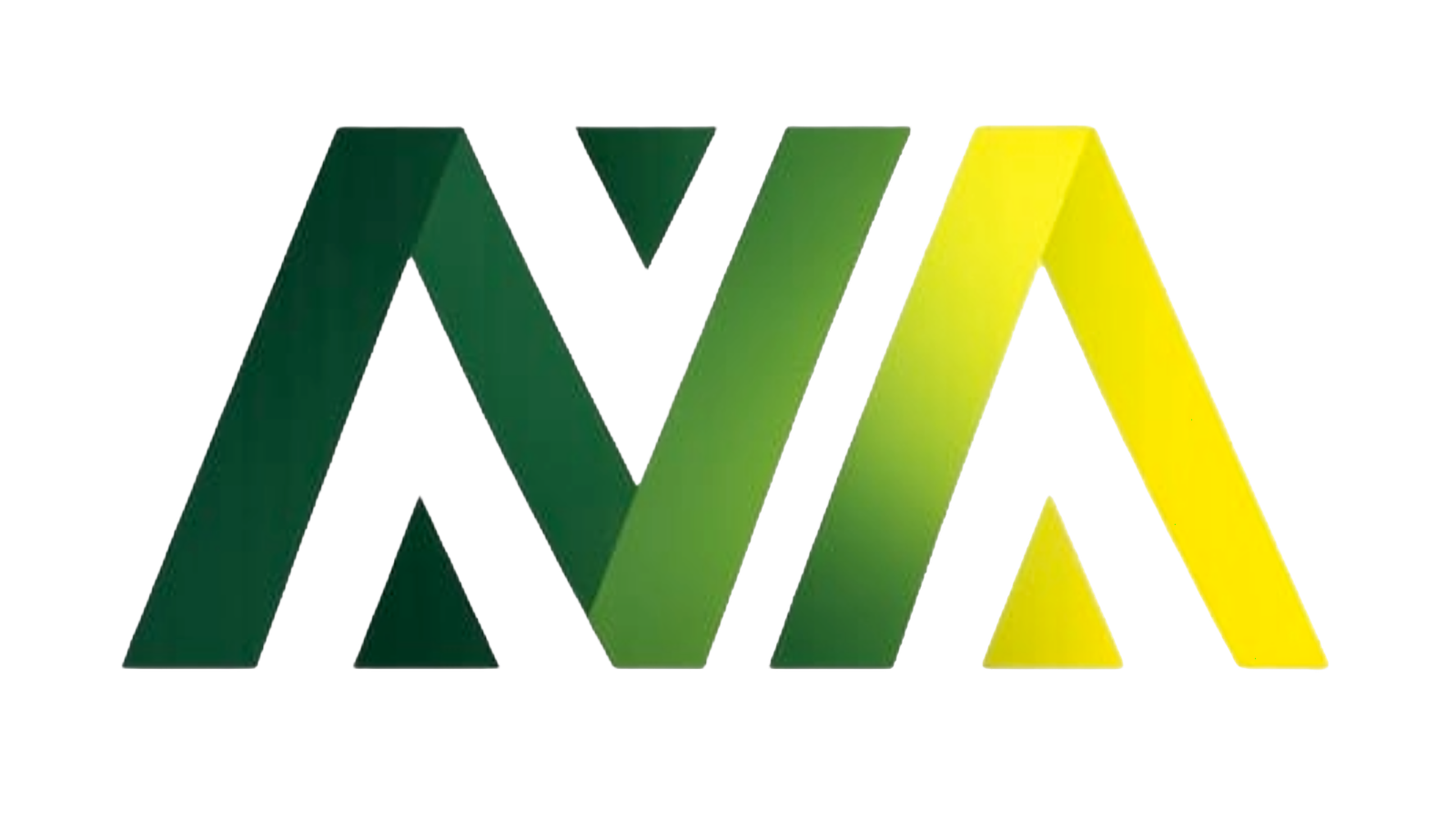 AVM DDS LLP